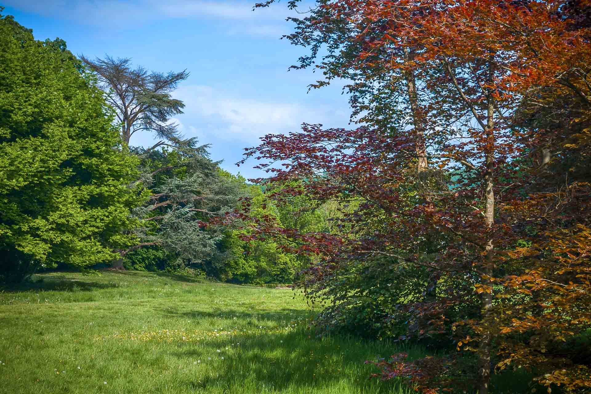 Essences rares du Parc de Colonster