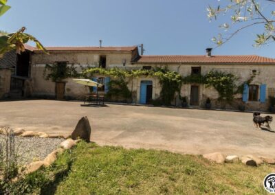 Gîte des Loulous Dogfriendly : jardin clos, accueil au poil et balades à profusion. Un vrai bonheur pour les chiens… et leurs humains.