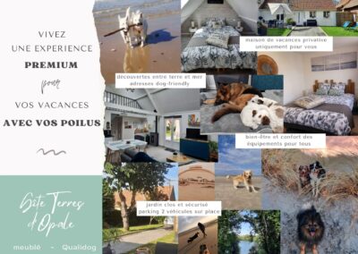 Gîte Terres d’Opale Dogfriendly : jardin sécurisé, balades nature et accueil aux petits soins pour votre chien sur la côte d’Opale.