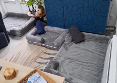 Gîte Terres d’Opale Dogfriendly : jardin sécurisé, balades nature et accueil aux petits soins pour votre chien sur la côte d’Opale.