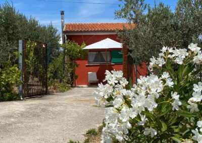 La Casetta Rossa Dogfriendly : maison avec piscine en Italie, chiens acceptés. Séjour détente au soleil avec votre compagnon à quatre pattes.