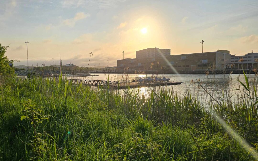 Goteborg : quartier Frihamnen