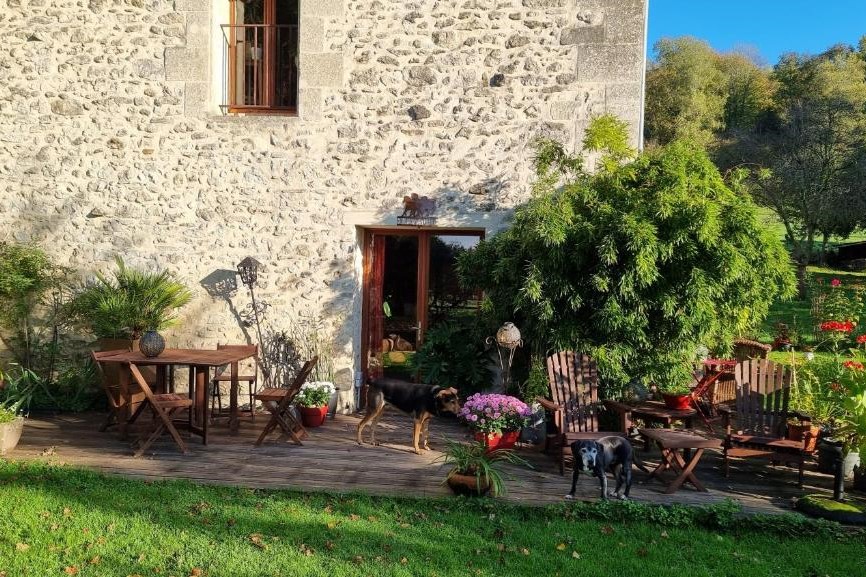 Hébergements dogfriendly / Gîte et location chiens acceptés : Chambre hôte En pleine nature