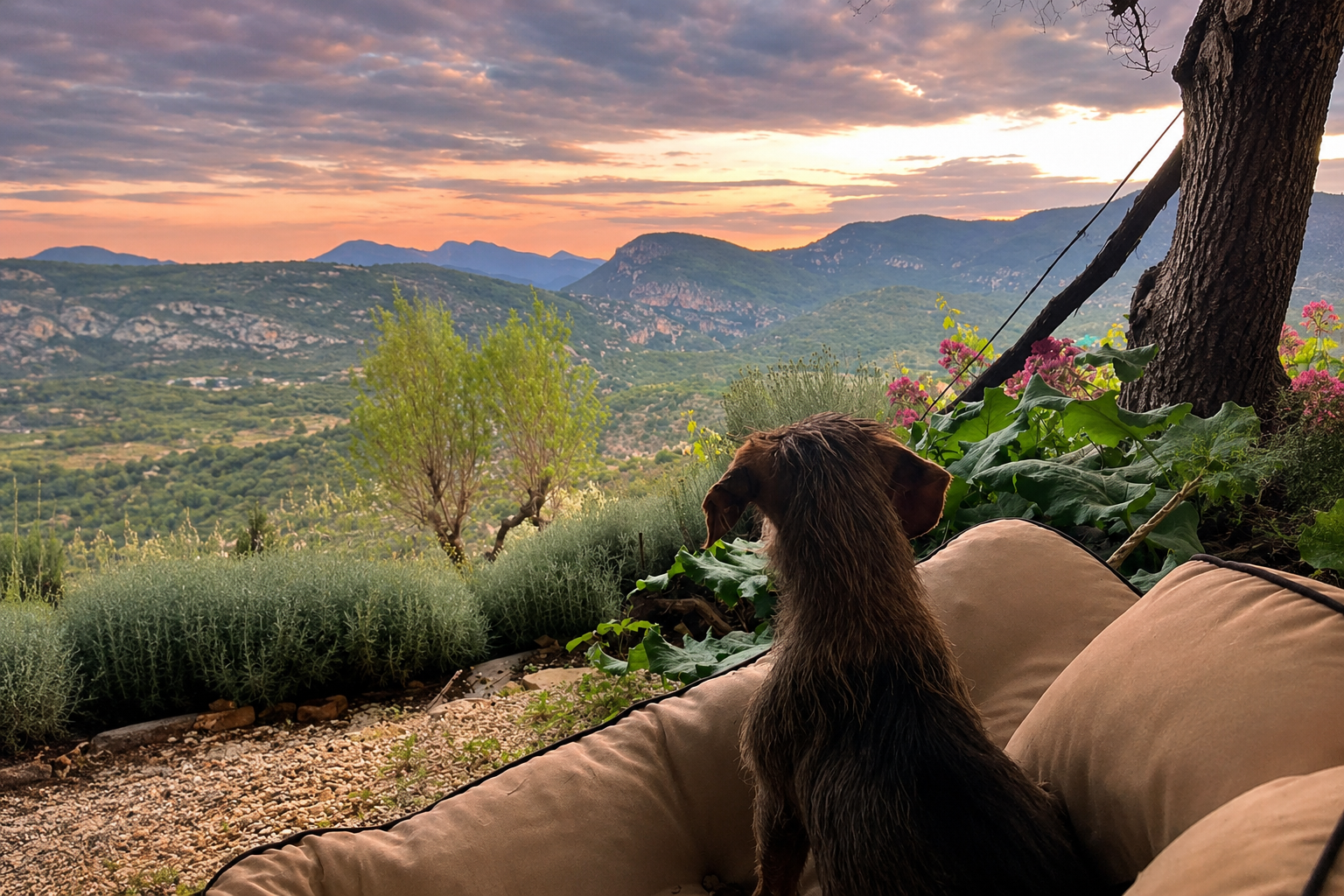 Domaine d'Oros en Dr&ocirc;me proven&ccedil;ale. G&icirc;te et glamping avec jardin cl&ocirc;tur&eacute;, jacuzzi, piscine et accueil des chiens sans limite de nombre.