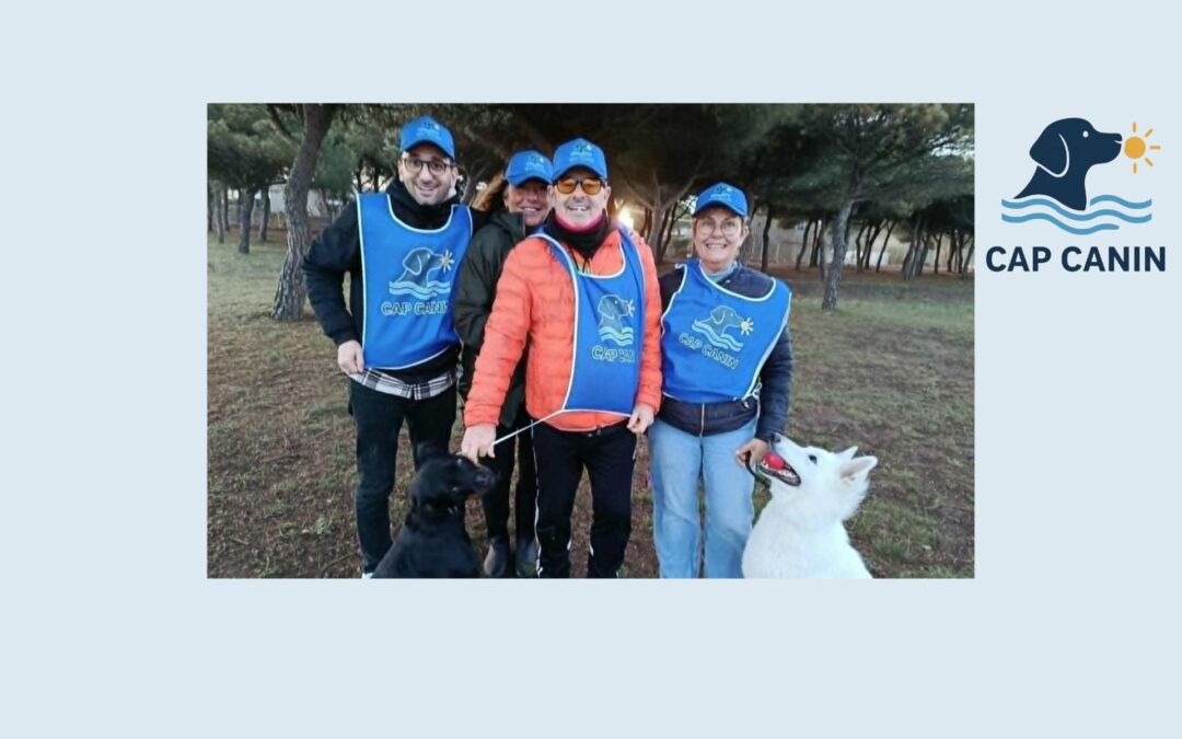 Un Cap d&rsquo;Agde plus dog-friendly