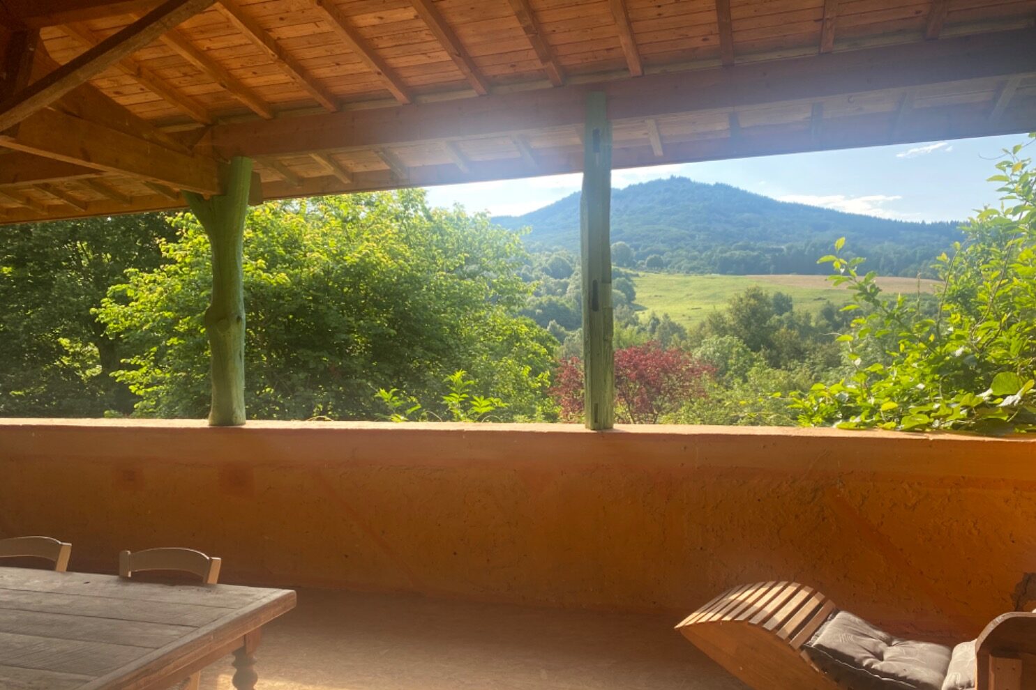 Jardin arboré avec tonnelle de vigne et barbecue – Gîte dogfriendly Auvergne