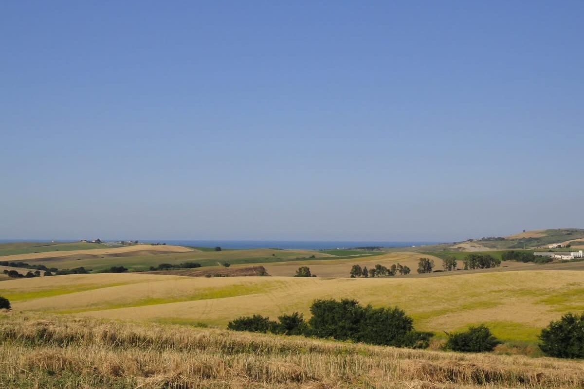 maison dog friendly la casetta rossa italie