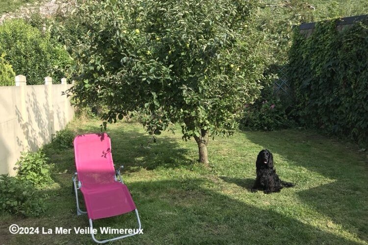La Mer Veille - G&icirc;te chiens accept&eacute;s &agrave; Wimereux
