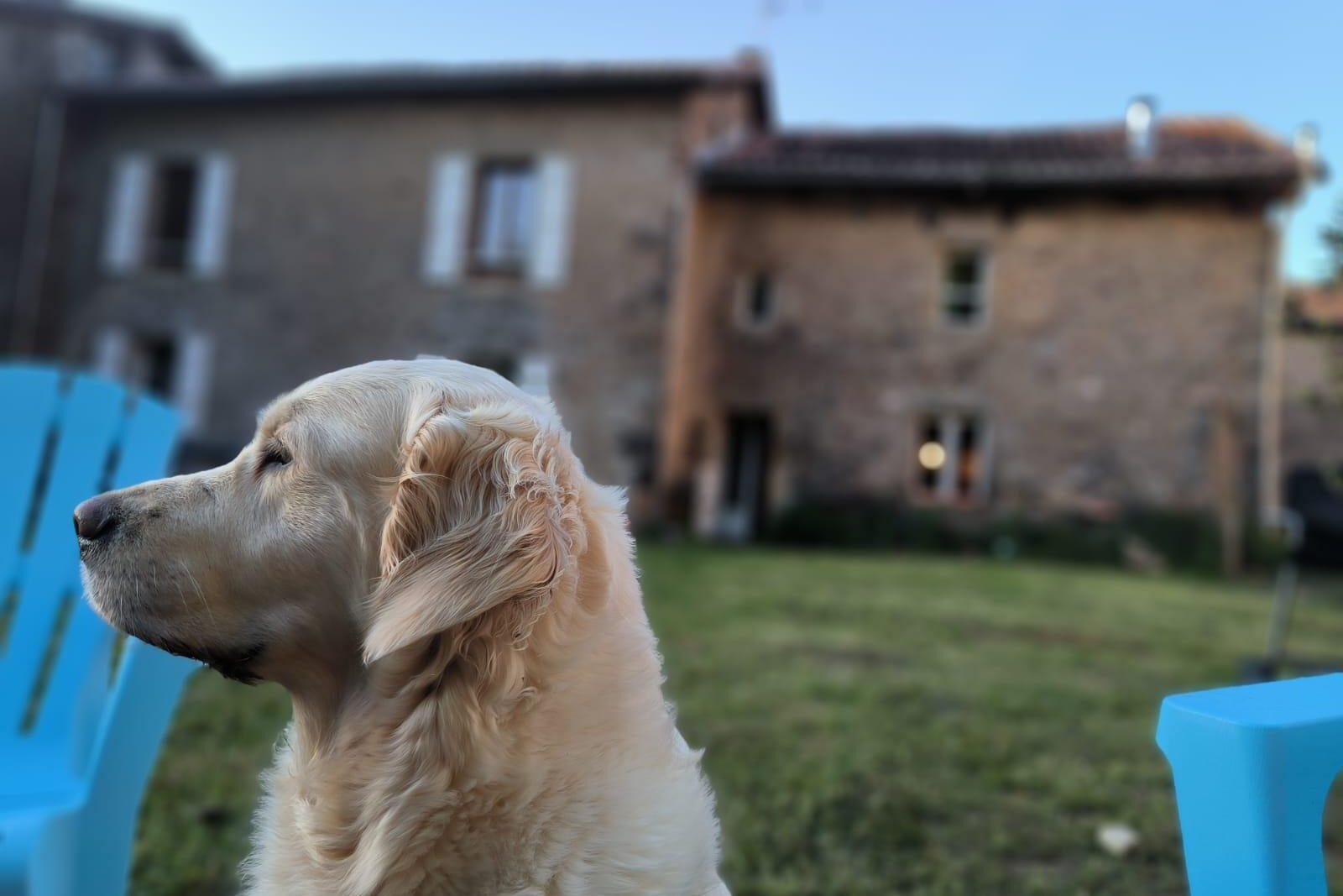 Gîte dog-friendly Périgord Limousin Gîte dog-friendly Périgord Limousin