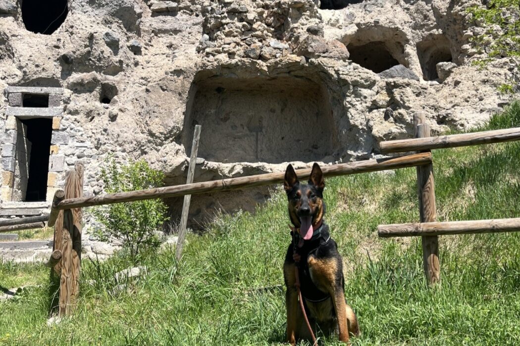 D&eacute;couvrez les grottes de Perrier avec votre chien. Une visite insolite du village troglodyte au c&oelig;ur du Puy-de-D&ocirc;me, en Auvergne